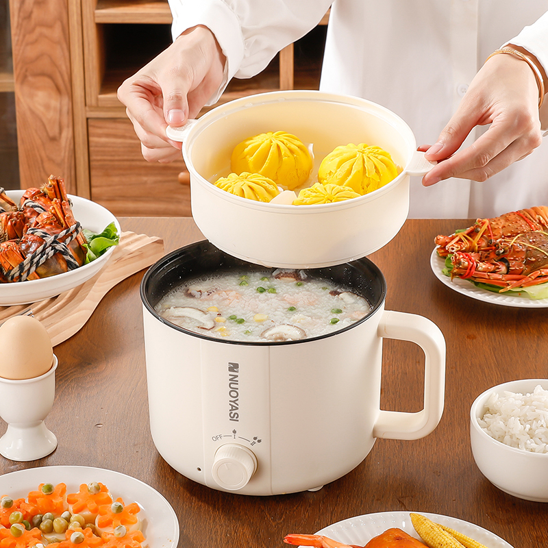 Electric Ramen Cooker Hot Pot Electric Dual Power Noodle Cooker